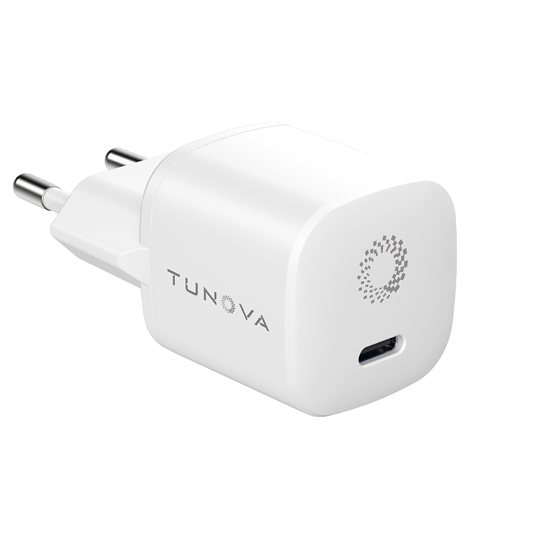 IceCube GaN30W