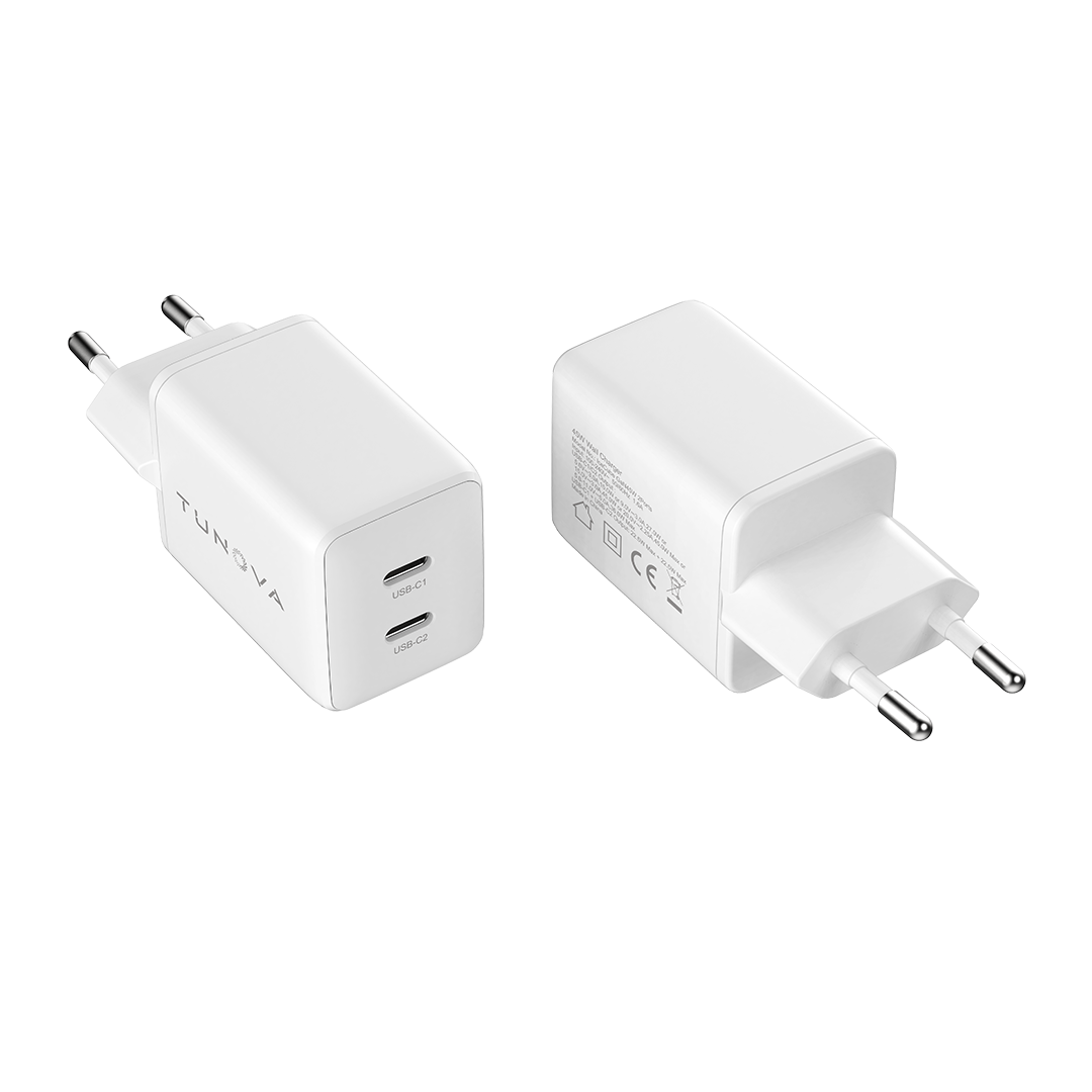 IceCube GaN45W 2PortsA