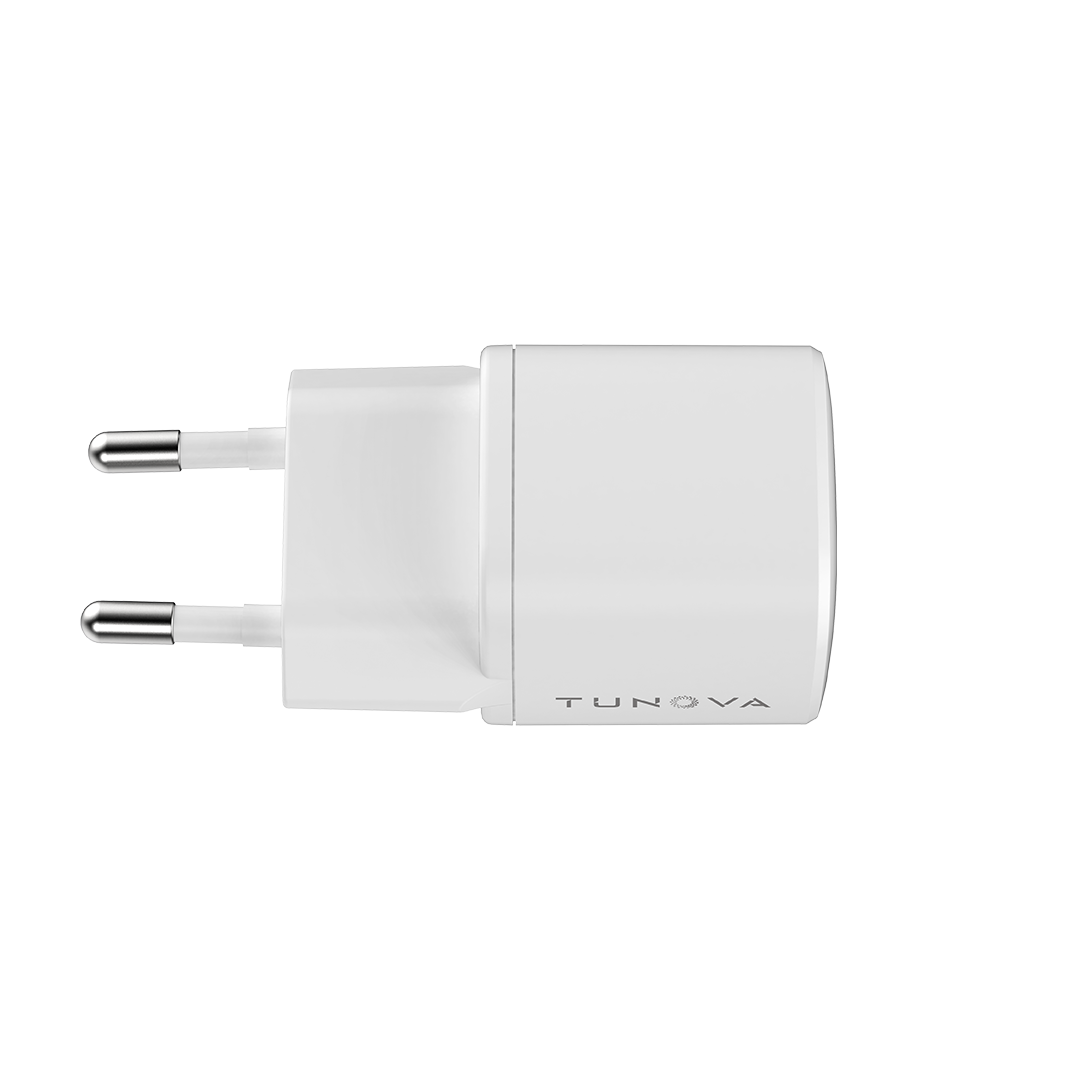 IceCube GaN30W