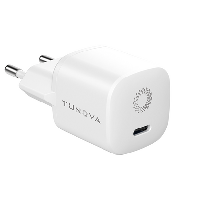 IceCube GaN30W