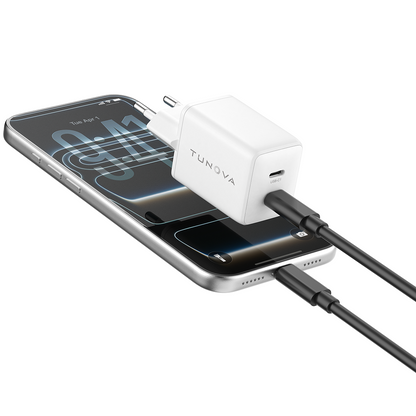 IceCube GaN45W 2PortsA
